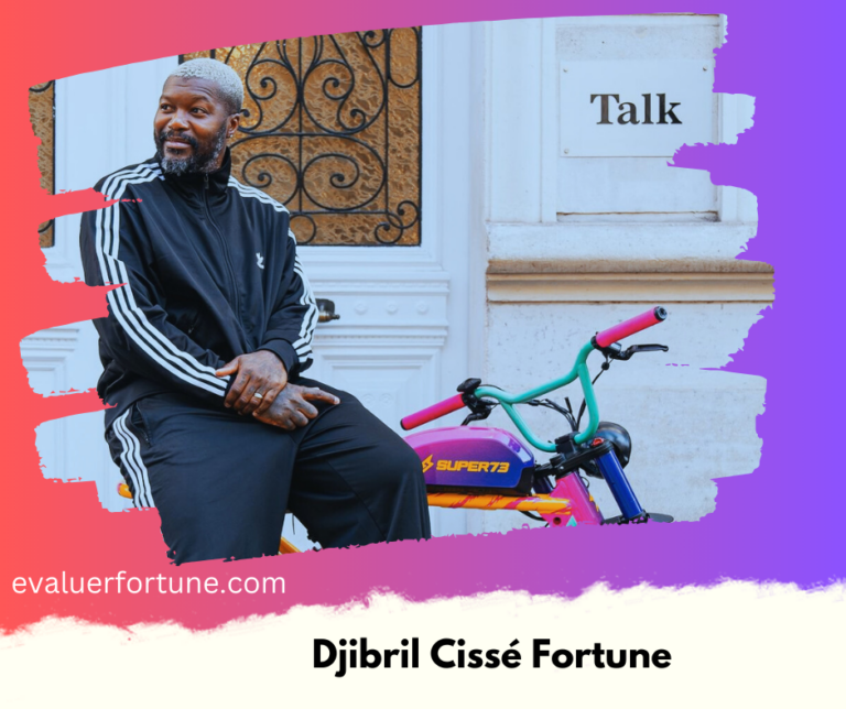 Fortune de Djibril Cissé en 2024 – L’Ancien Footballeur Français