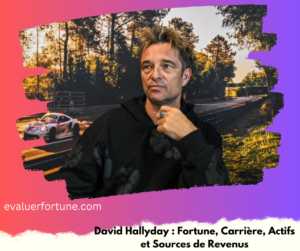 David Hallyday: Fortune, Carrière, Actifs et Sources de Revenus
