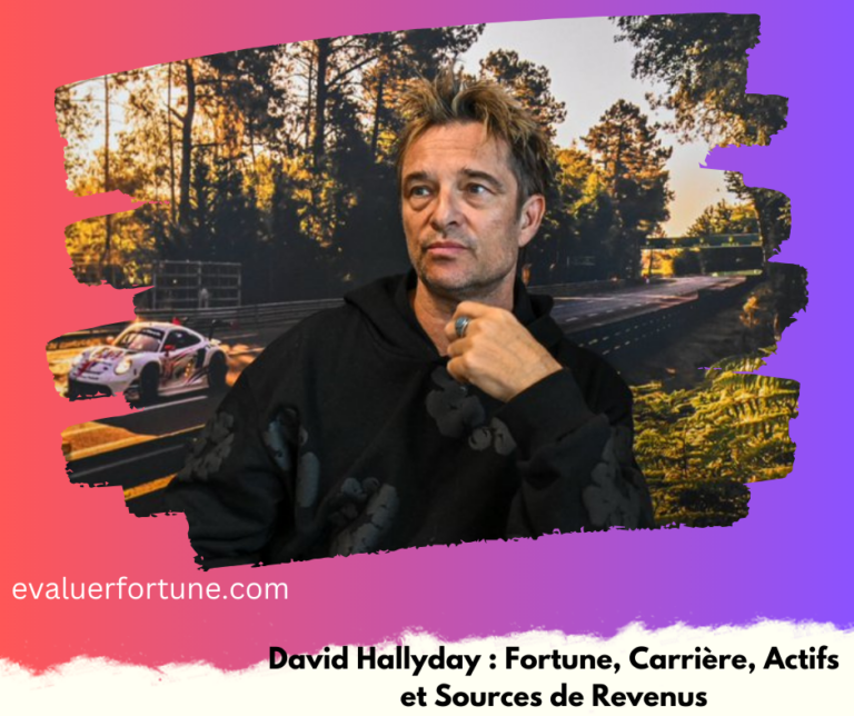 David Hallyday: Fortune, Carrière, Actifs et Sources de Revenus