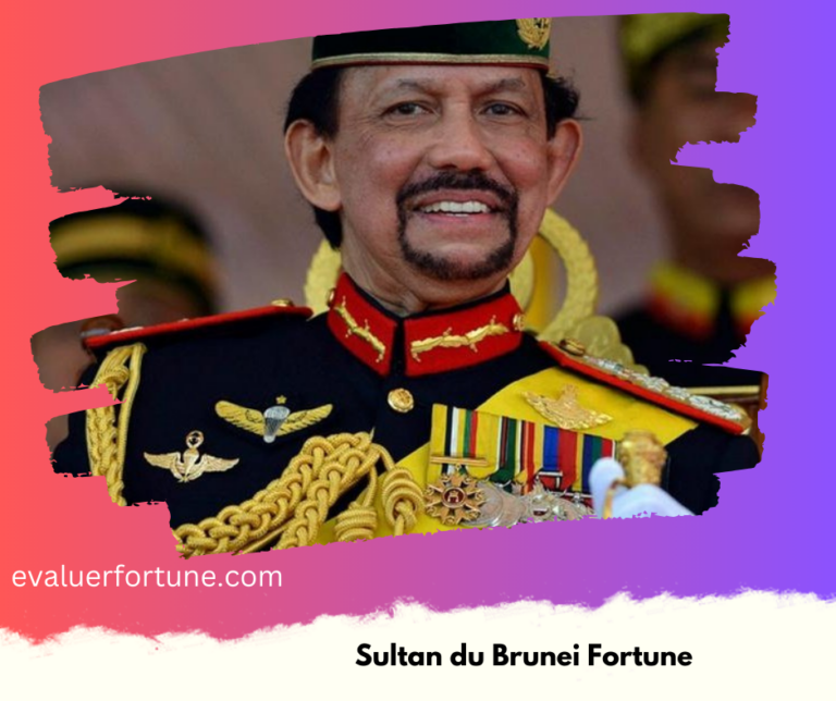 Sultan du Brunei Fortune 2024 : Le Monarque au Style de Vie Opulent