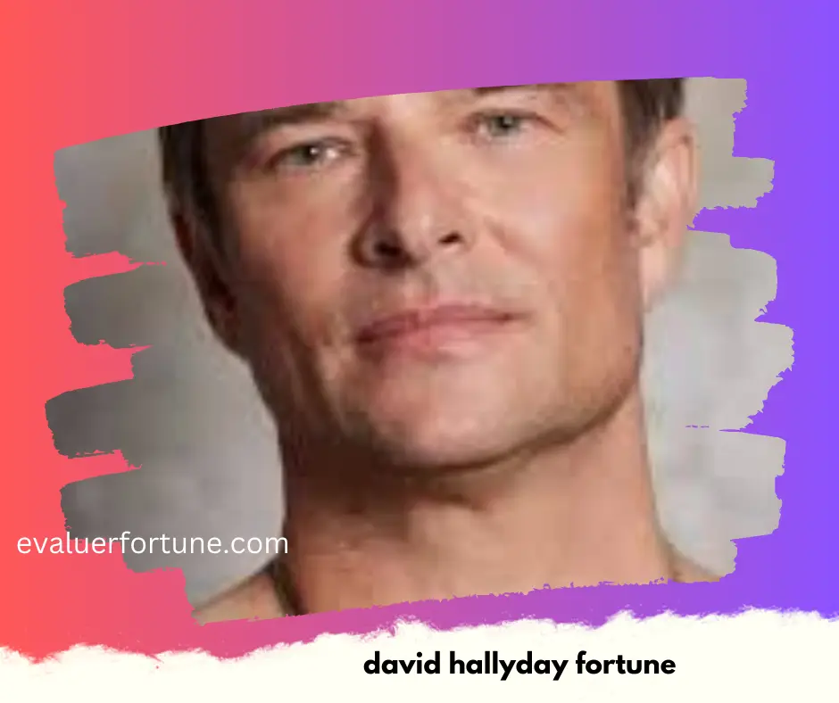 david hallyday fortune