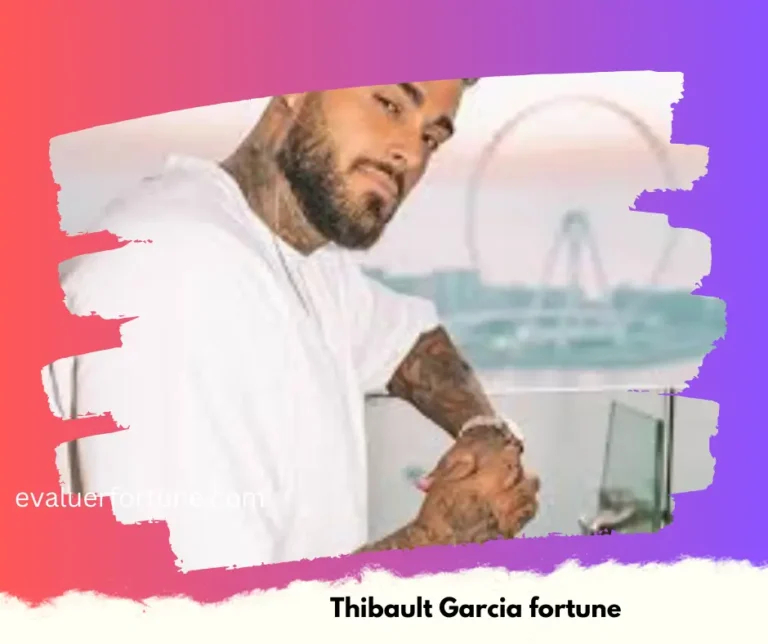 Thibault Garcia Fortune : Découvrez la Richesse et le Parcours de ce Talentueux Artiste